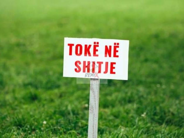 SHITEN 1800 M2 TEK GJIRI LALZIT