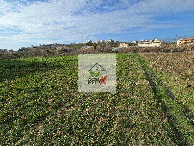 SHITET TOKE NE SHKALLNUR DURRES