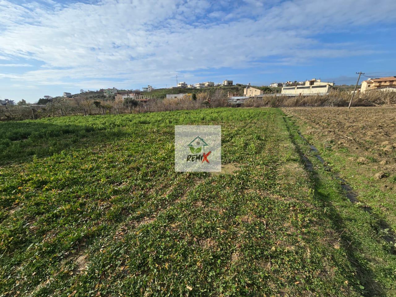 SHITET TOKE NE SHKALLNUR DURRES