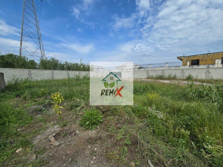 JEPET ME QIRA TOKE NE SHKOZET, DURRES