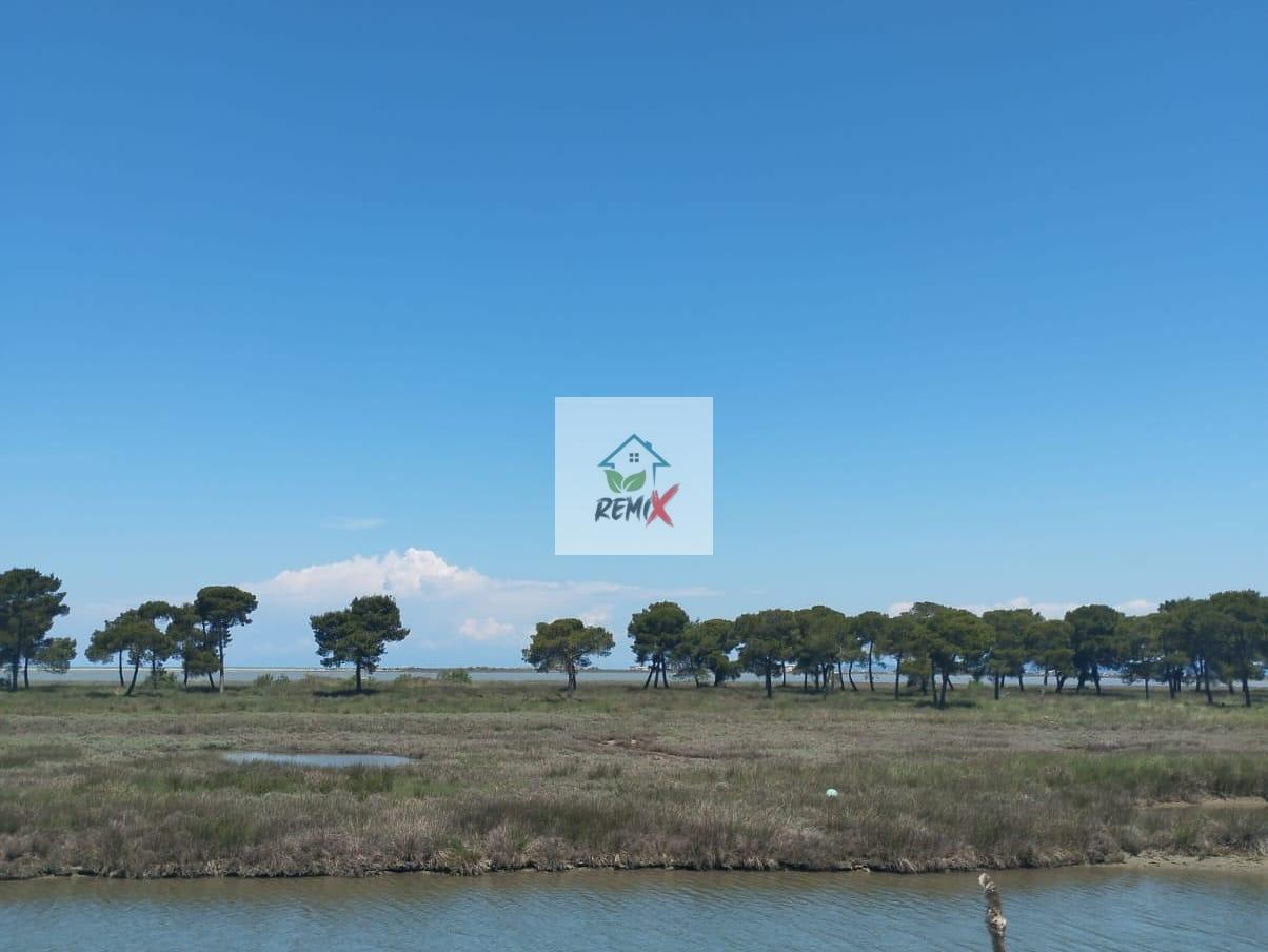 TOKE PER SHITJE BUZE RRUGE TE SEKTOR RINIA