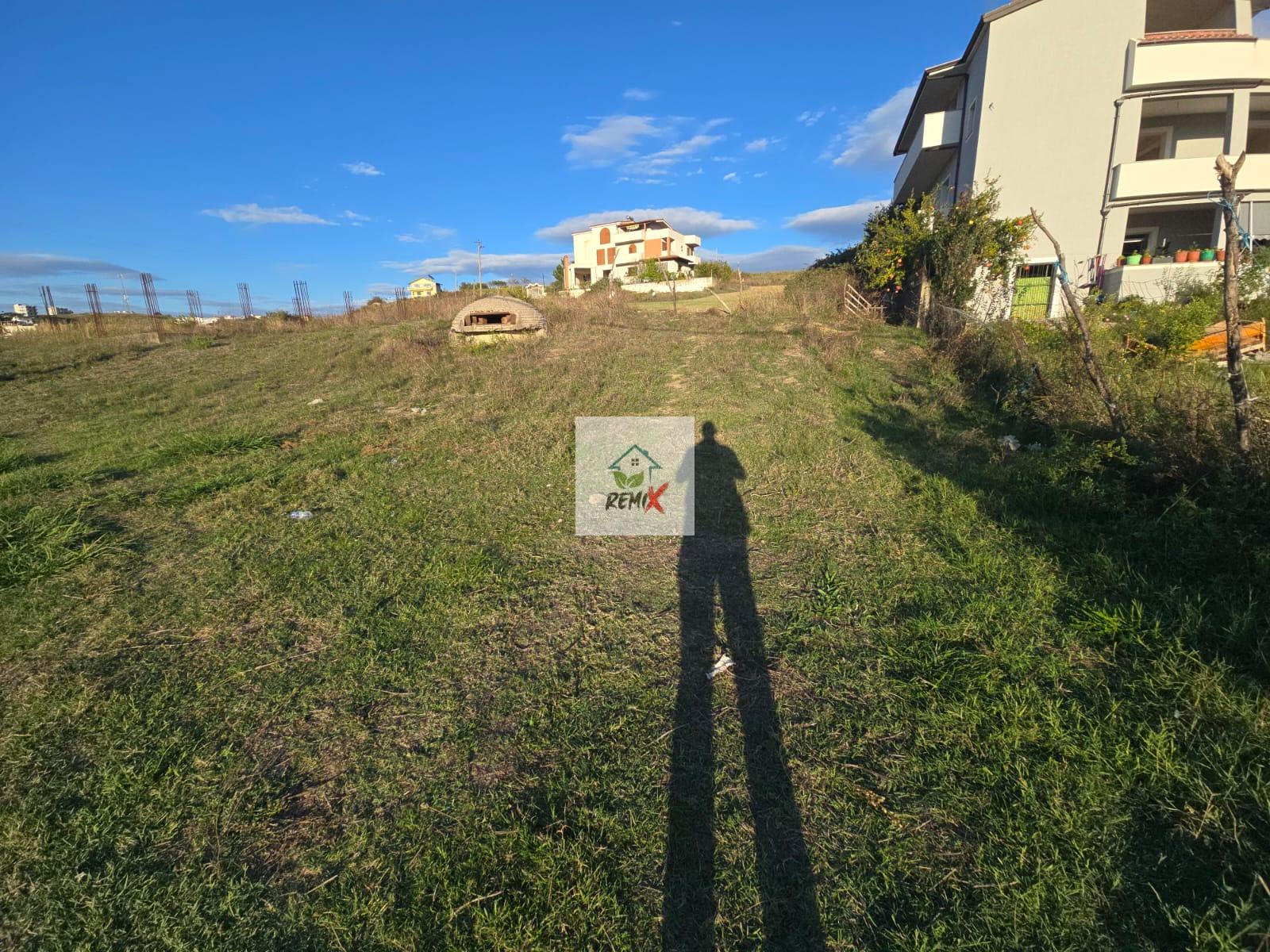 SHITET TOKE NE PLEPA