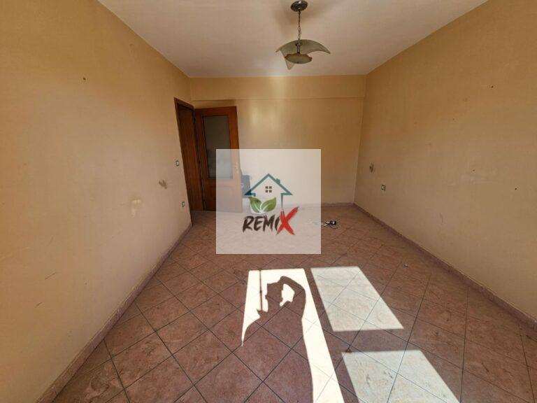 JEPET ME QERA AMBJENT BIZNESI PER QERA PRANE LULISHTES TEK MUZEUMI , DURRES