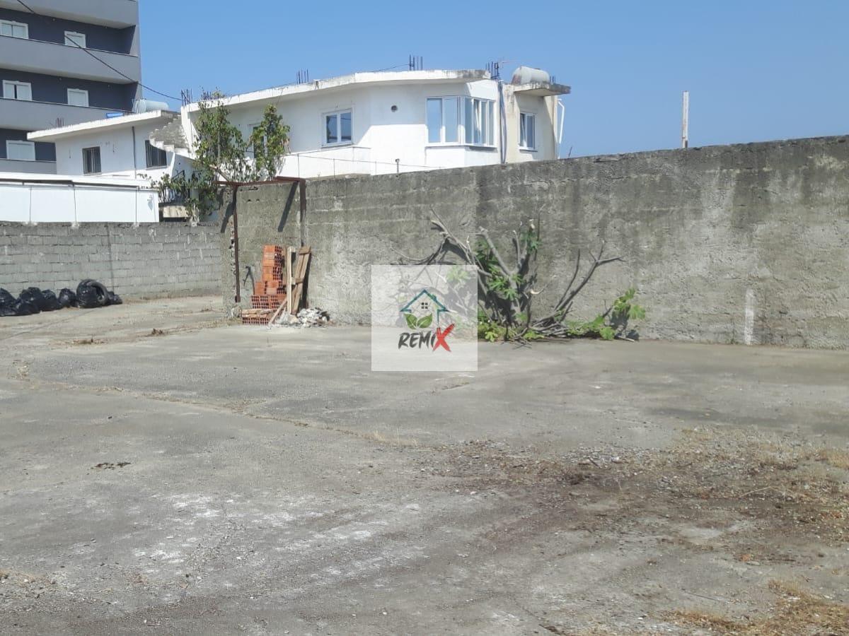 SHITET TRUALL + MAGAZINE , PRANË ISH – ZDRUKTHTARIA, DURRES