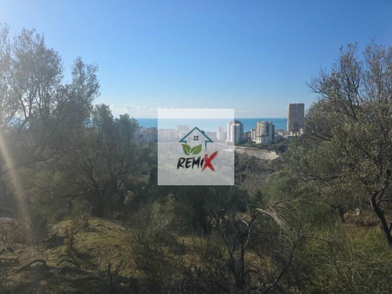 SHITET SUPER TOKE ME PAMJE DETI TEK SHKEMBI SHKËMBI I KAVAJËS