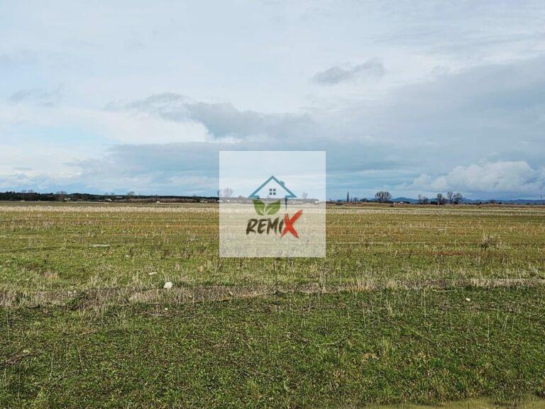 SHITET TOKE PRANE RRUGES NE SEKTORIN “RINIA”, PORTO ROMANO