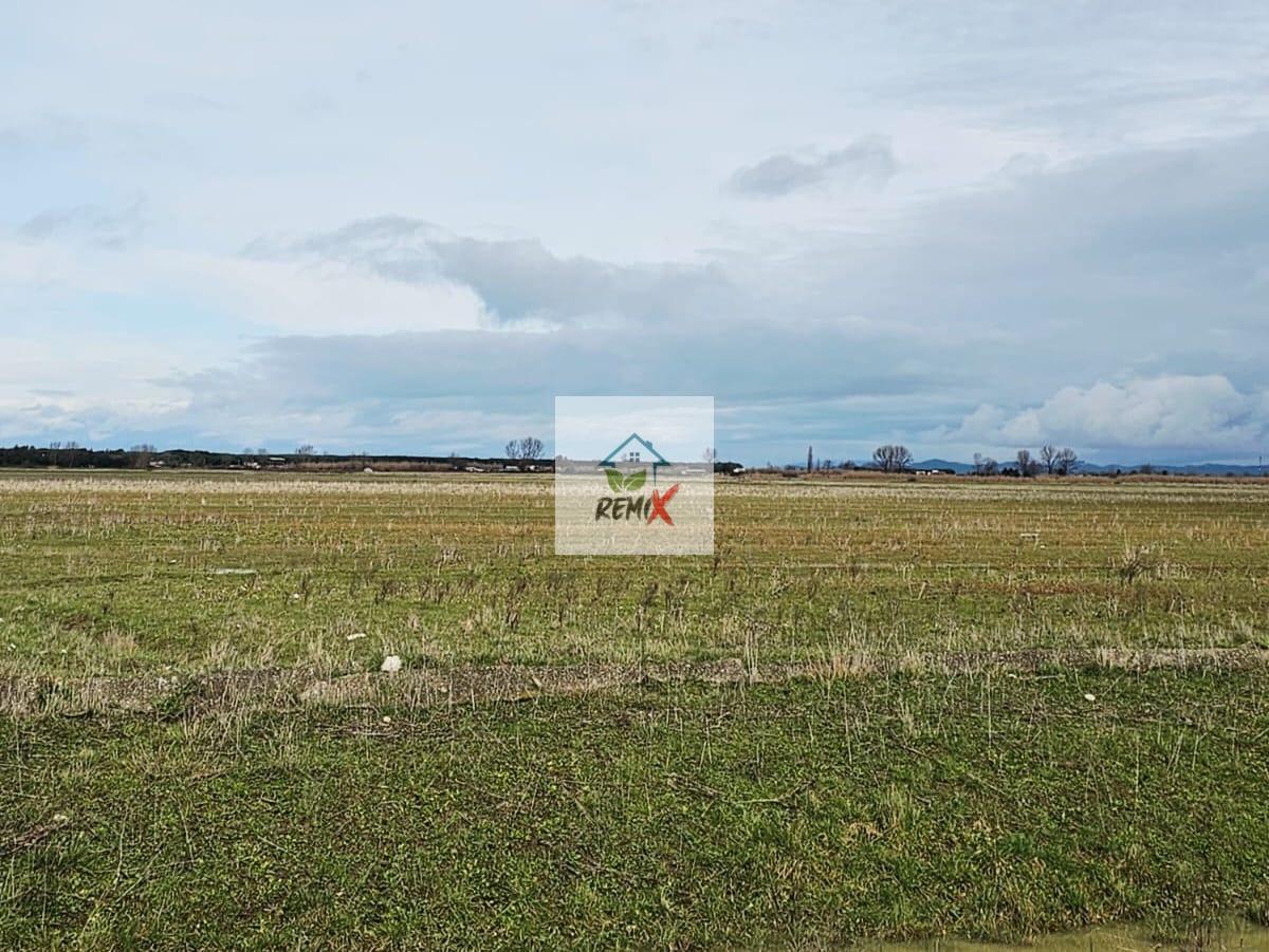 SHITET TOKE PRANE RRUGES NE SEKTORIN “RINIA”, PORTO ROMANO